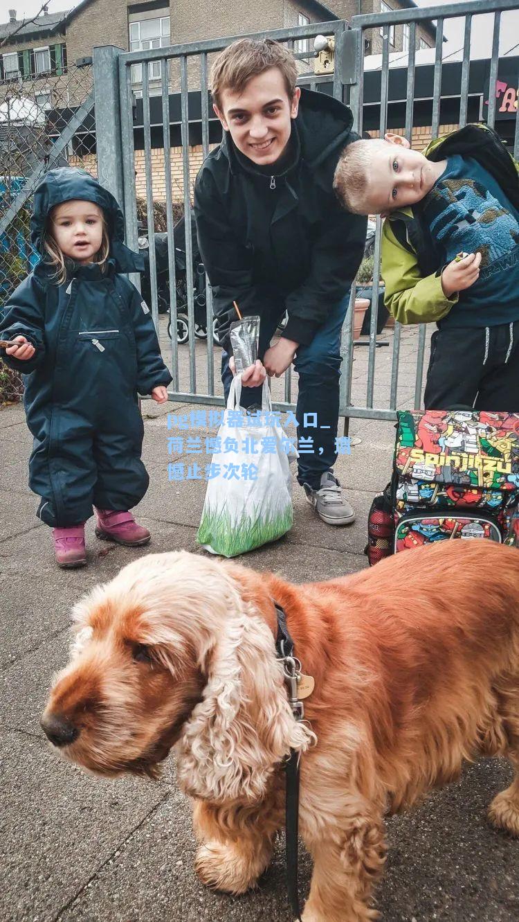 荷兰憾负北爱尔兰，遗憾止步次轮